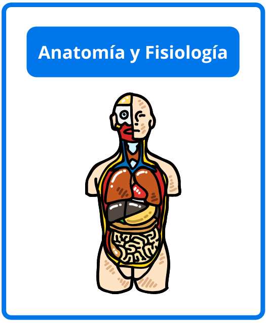 Descargar libros de anatomía y fisiología