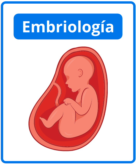 Descargar libros de embriología