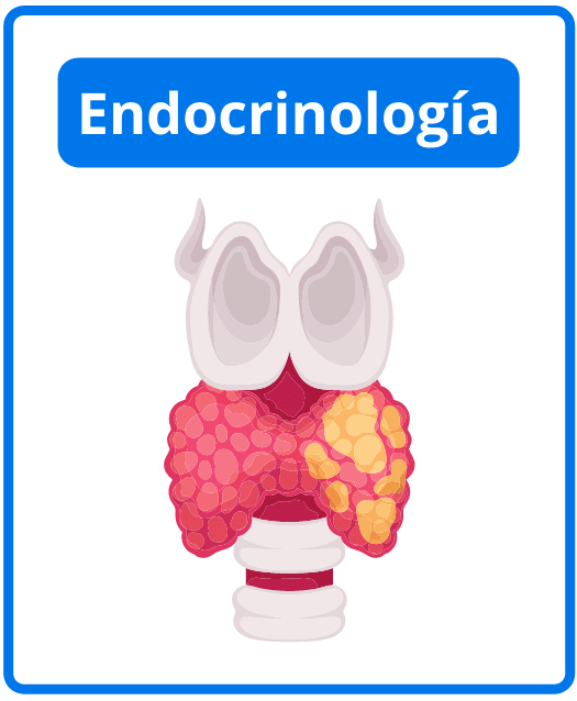 Descargar libros de endocrinología