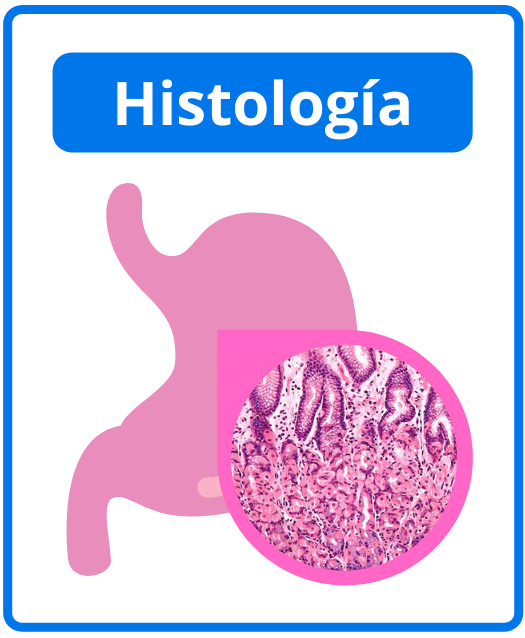 Descargar libros de histología