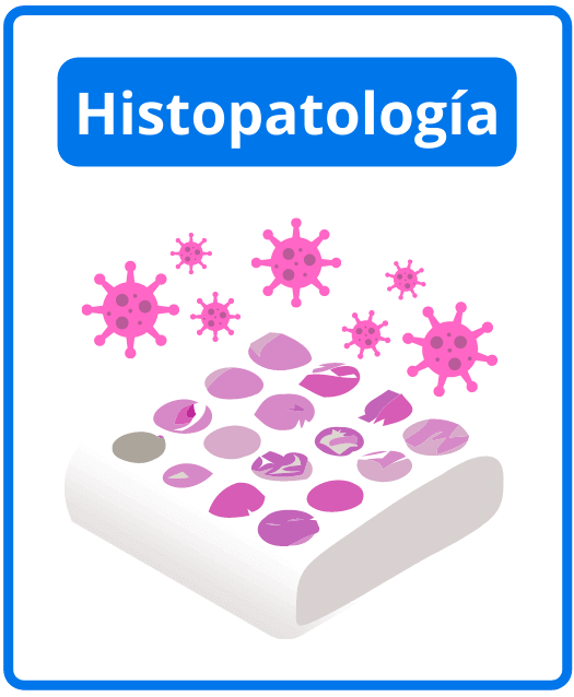 Descargar libros de histopatología