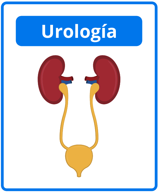 Descargar libros de urología